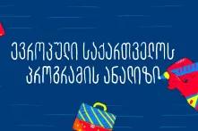 ევროპული საქართველო - საარჩევნო პროგრამის ანალიზი