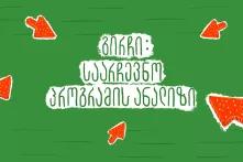 გირჩი - საარჩევნო პროგრამის მოკლე ანალიზი