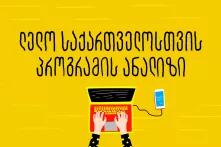 ლელო საქართველოსთვის პროგრამის ანალიზი