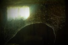 კადრი ფილმიდან