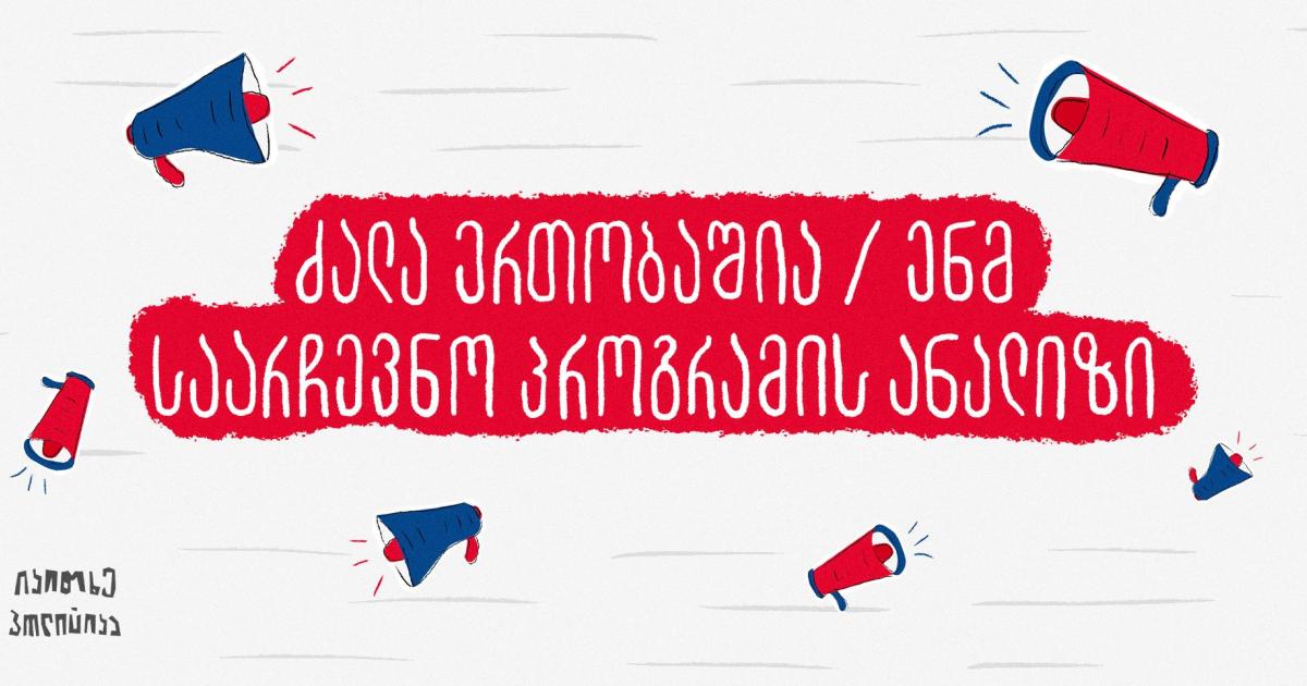 ძალა ერთობაშია / ენმ საარჩევნო პროგრამის ანალიზი ფემინიზმი და